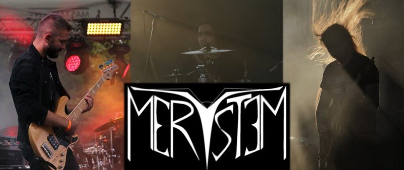 Meystem